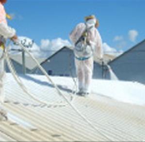 Asbestos Encapsulation
