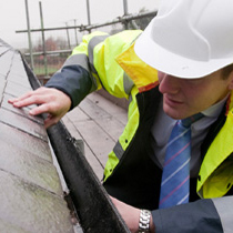 inspection copy